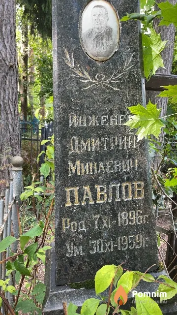 Павлов Дмитрий Минаевич
