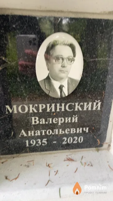 Мокринский Валерий Анатольевич