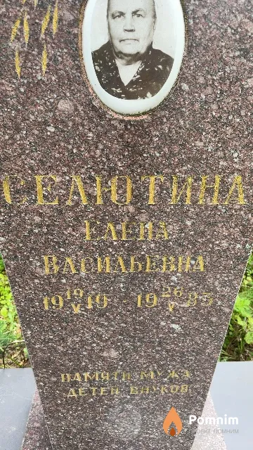 Селютина Елена Васильевна