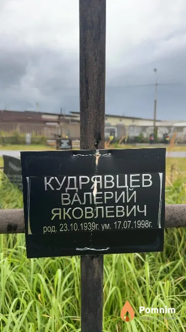 Кудрявцев Валерий Яковлевич