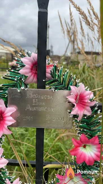 Вайшева Нина Анатольевна