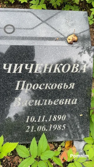 Чиченкова Просковья Васильевна