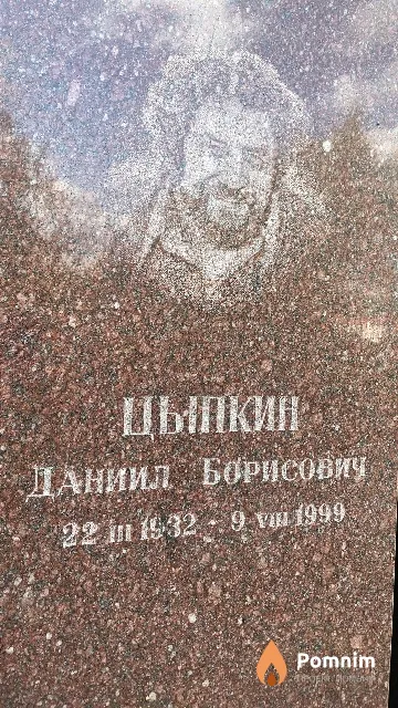Цыпкин Даниил Борисович