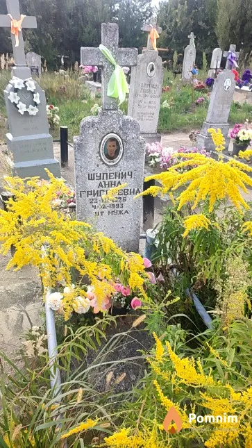 Шупенич Анна Григоревна