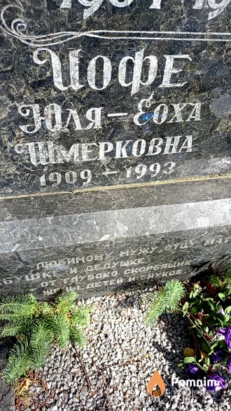 Иофе Юля Шмерковна