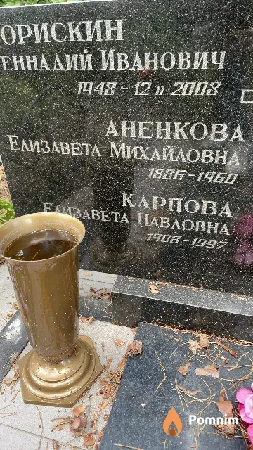 Аненкова Елизавета Михайловна