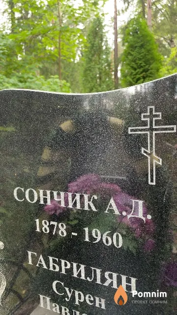 Сончик А. Д.