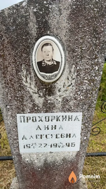 Прохоркина Анна Александровна