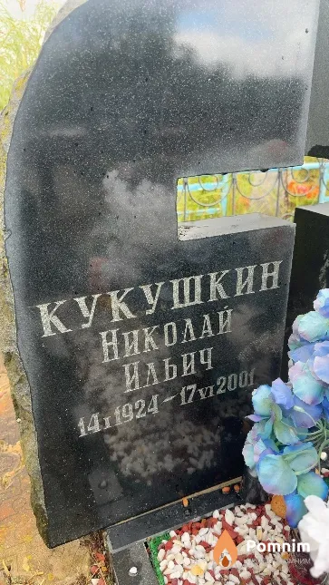 Кукушкин Николай Ильич