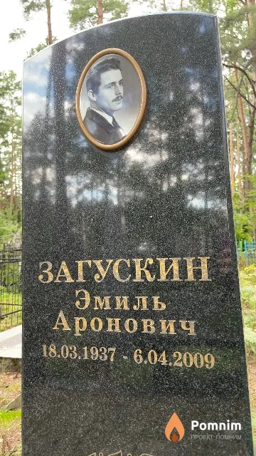 Загускин Эмиль Аронович