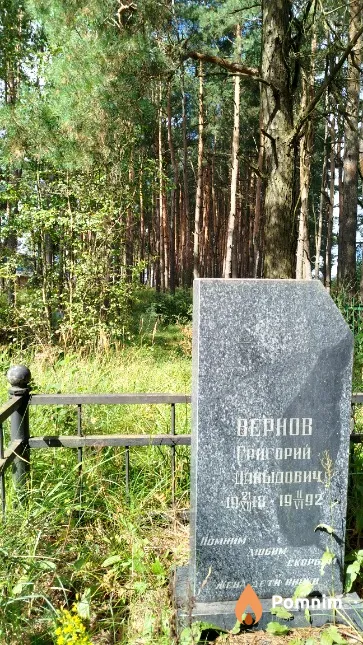 Вернов Григорий Давыдович