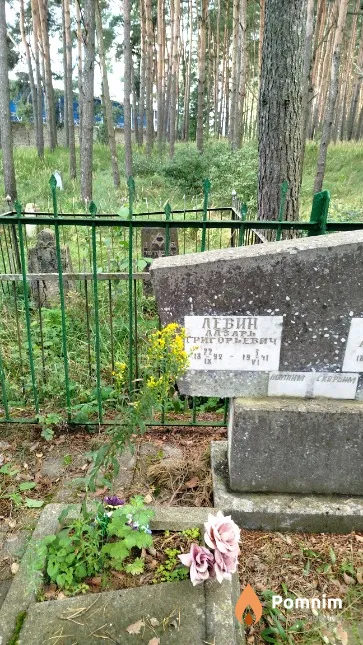 Левин Лазарь Григорьевич