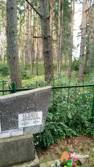 Левина Добруся Абрамовна