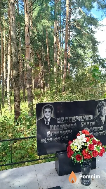 Нестеренко Владимир Егорович