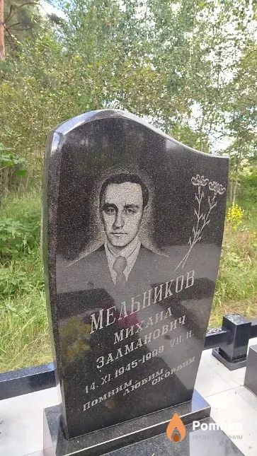 Мельников Михаил Залманович