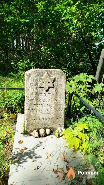 Баскина Д. Ю.