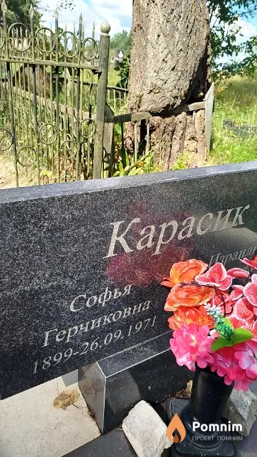 Карасик Софья Герчиковна