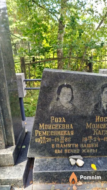 Ремесницкая Роза Моисеевна