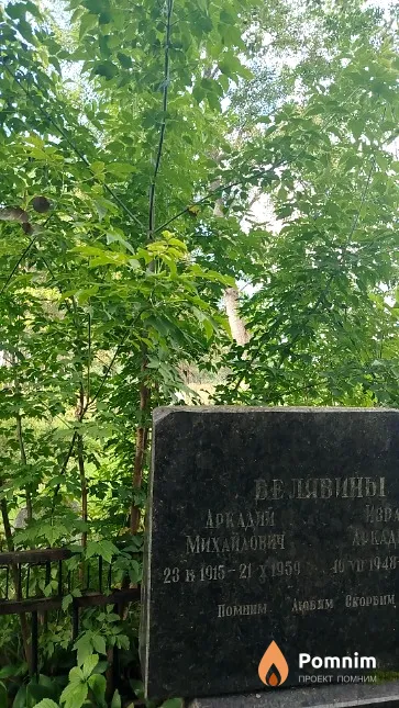 Велявин Аркадий Михайлович