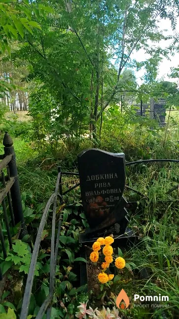 Добкина Pива Вульфовна