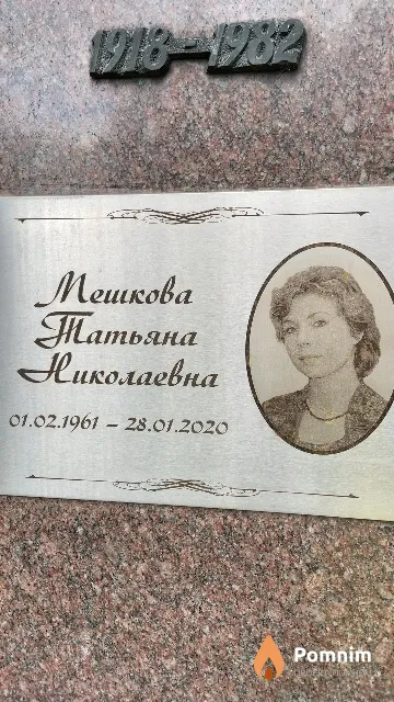 Мешкова Татьяна Николаевна