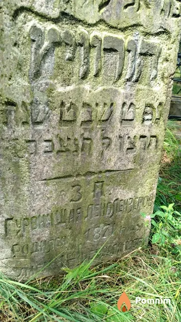 Гурвин Шая Ленбрезерович
