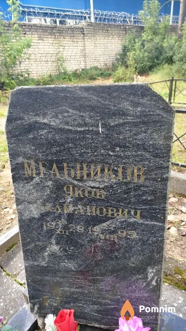 Мельников Яков Залманович