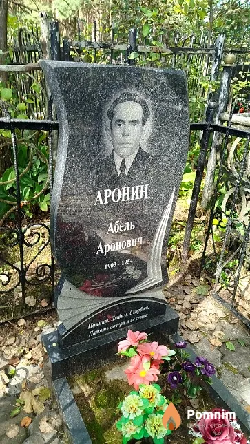 Аронин Абель Аронович