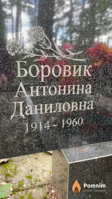 Боровик Антонина Даниловна