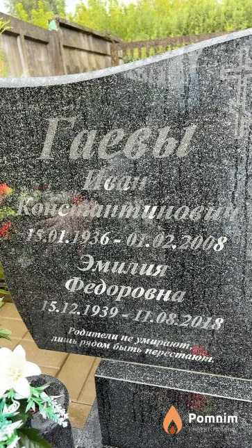 Гаев Эмилия Федоровна