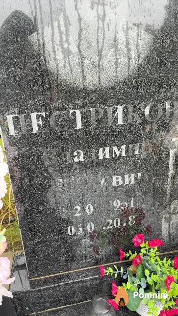 Пестриков Владимир Егорович