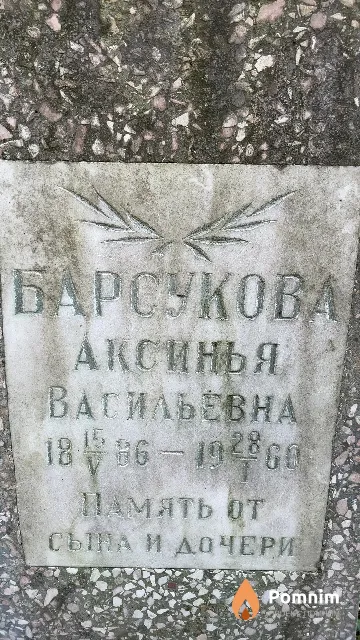 Барсукова Аксинья Васильевна