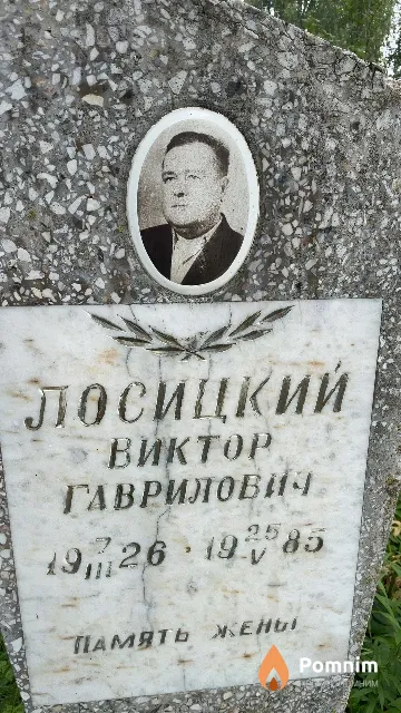 Лосицкий Виктор Гаврилович