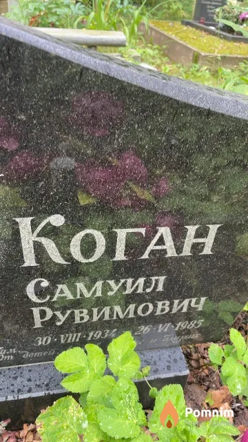 Коган Самуил Рувимович