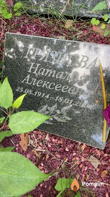 Грязнова Наталья Алексеевна