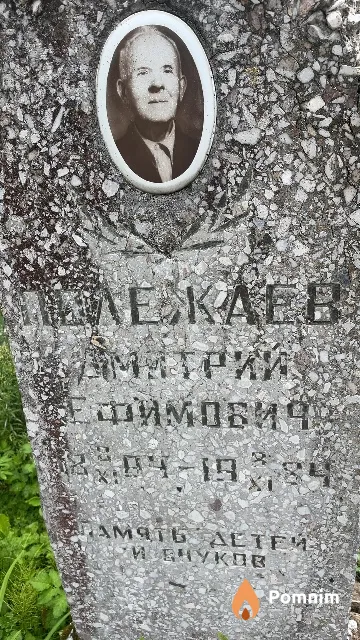 Полежаев Дмитрий Ефимович