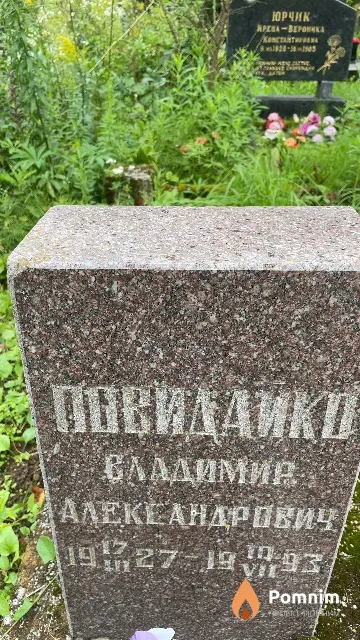 Повидайко Владимир Александрович