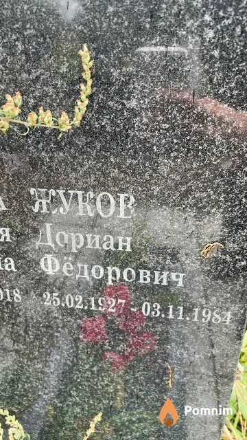 Жуков Дориан Фёдорович