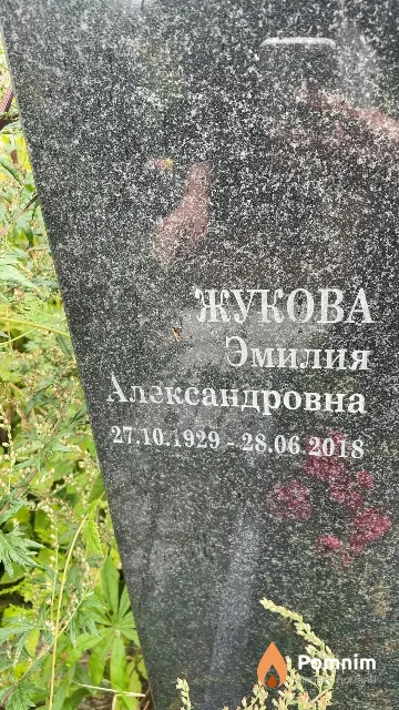 Жукова Эмилия Александровна