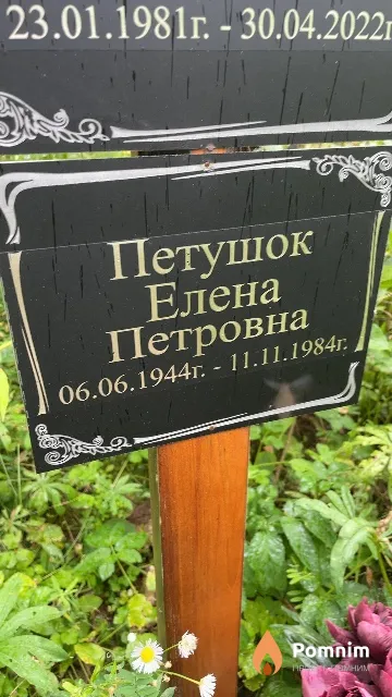 Петушок Елена Петровна