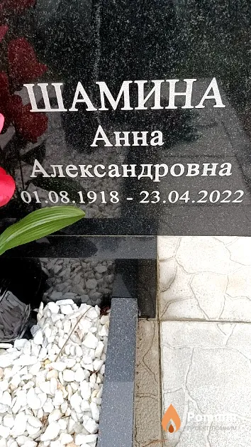 Шамина Анна Александровна