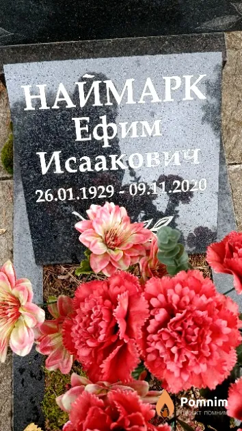 Наймарк Ефим Исаакович