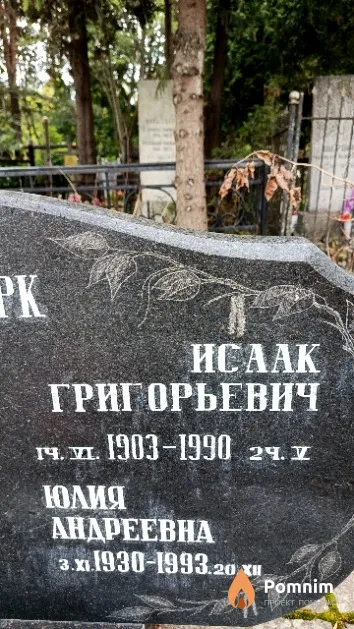Наймарк Исаак Григорьевич