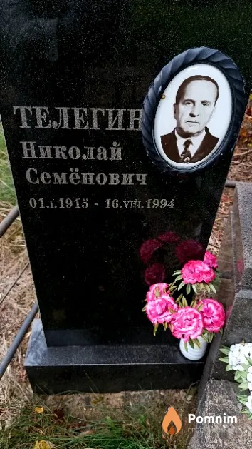 Телегин Николай Семёнович
