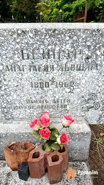 Бейнар Анастасия Львовна