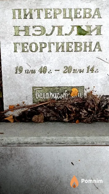 Питерцева Нэлли Георгиевна