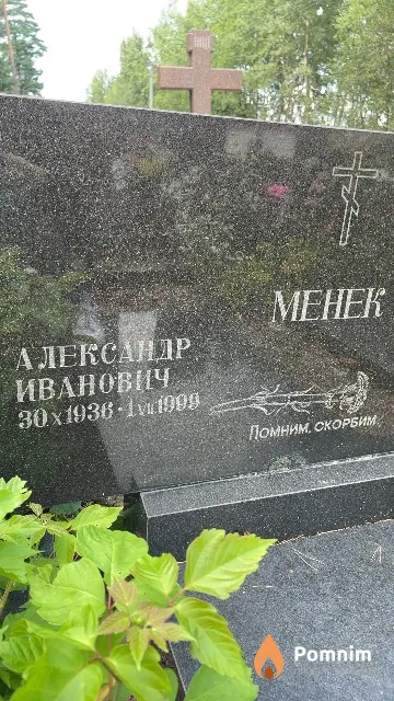 Менек Александр Иванович