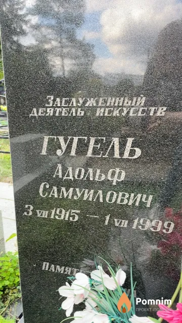 Гугель Адольф Самуилович