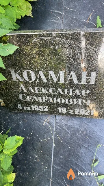 Колман Александр Семёнович