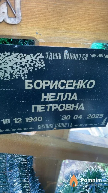 Борисенко Нелла Петровна